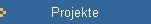 Projekte