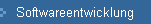 Softwareentwicklung